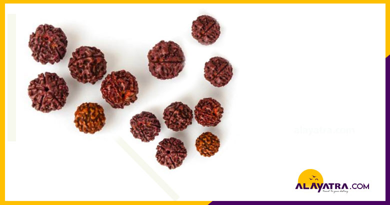 rudraksha-buy-online