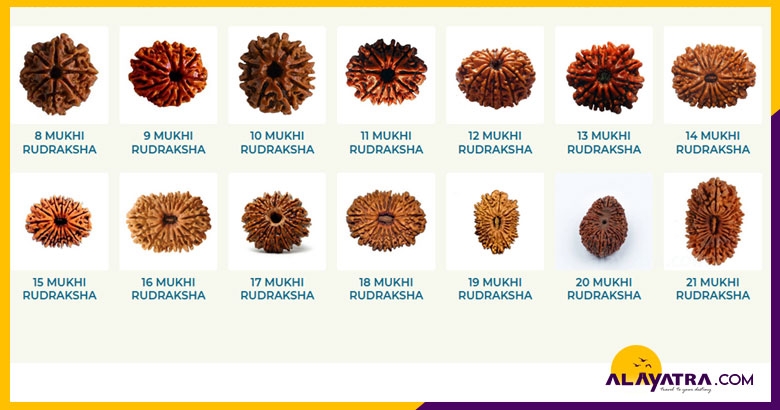 rudraksha-online-shop